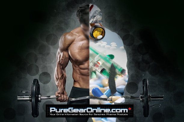 Category: Buy Steroids Online Canada - PURE GEAR ONLINE