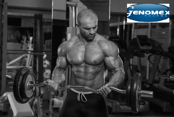 Category Buy Steroids Online Canada Pure Gear Online