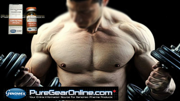 buy Testosterone enanthate Canada